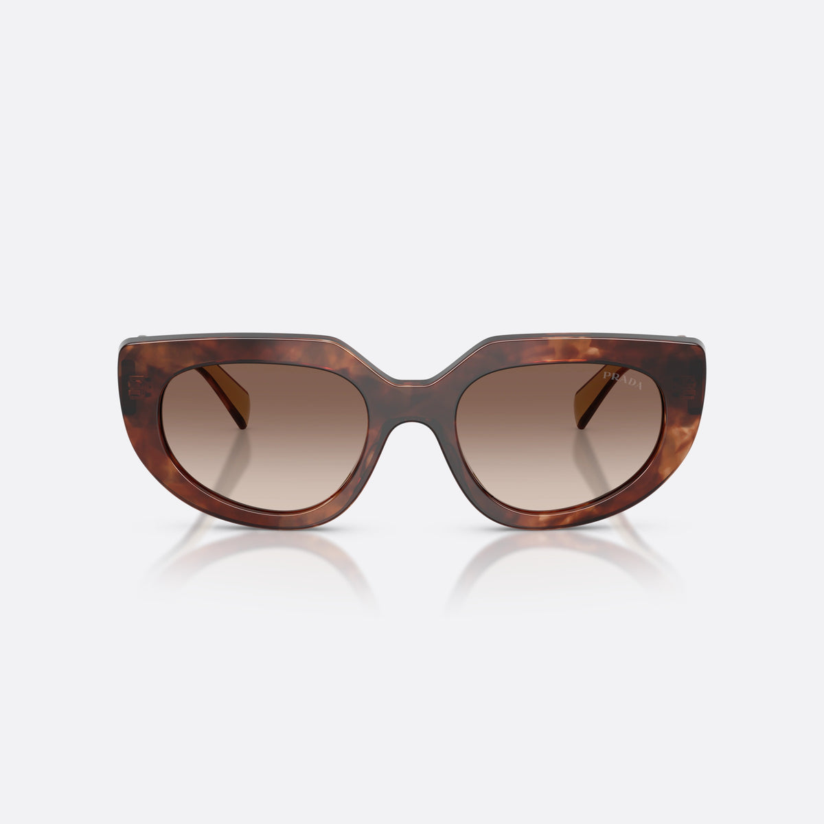 Prada PR D02S 00K10S sunglasses, havana oval frame for women, saddle bridge with browline top, front view