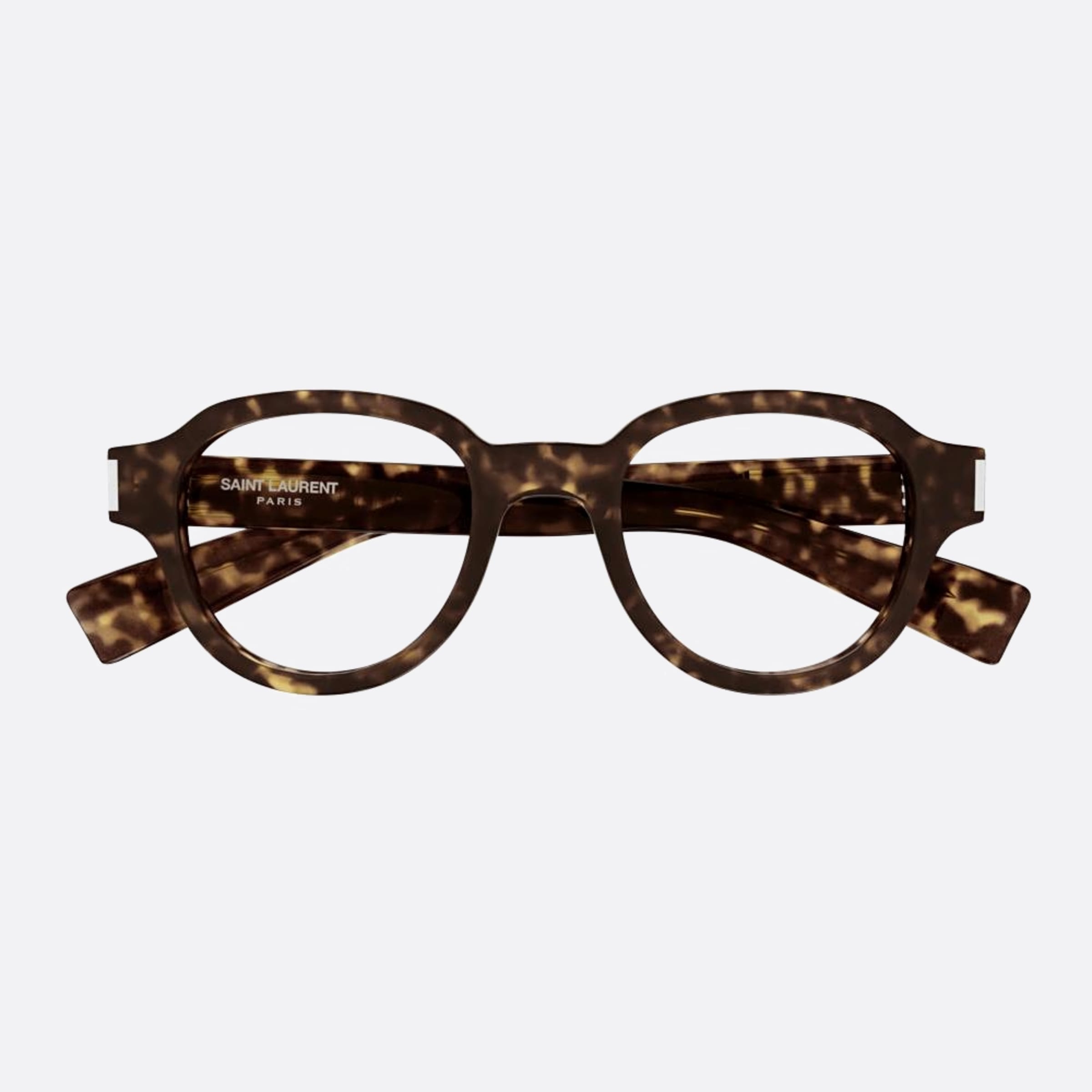 Saint 48mm Laurent Opt Havana Pantos Unisex Eyeglasses - Main View