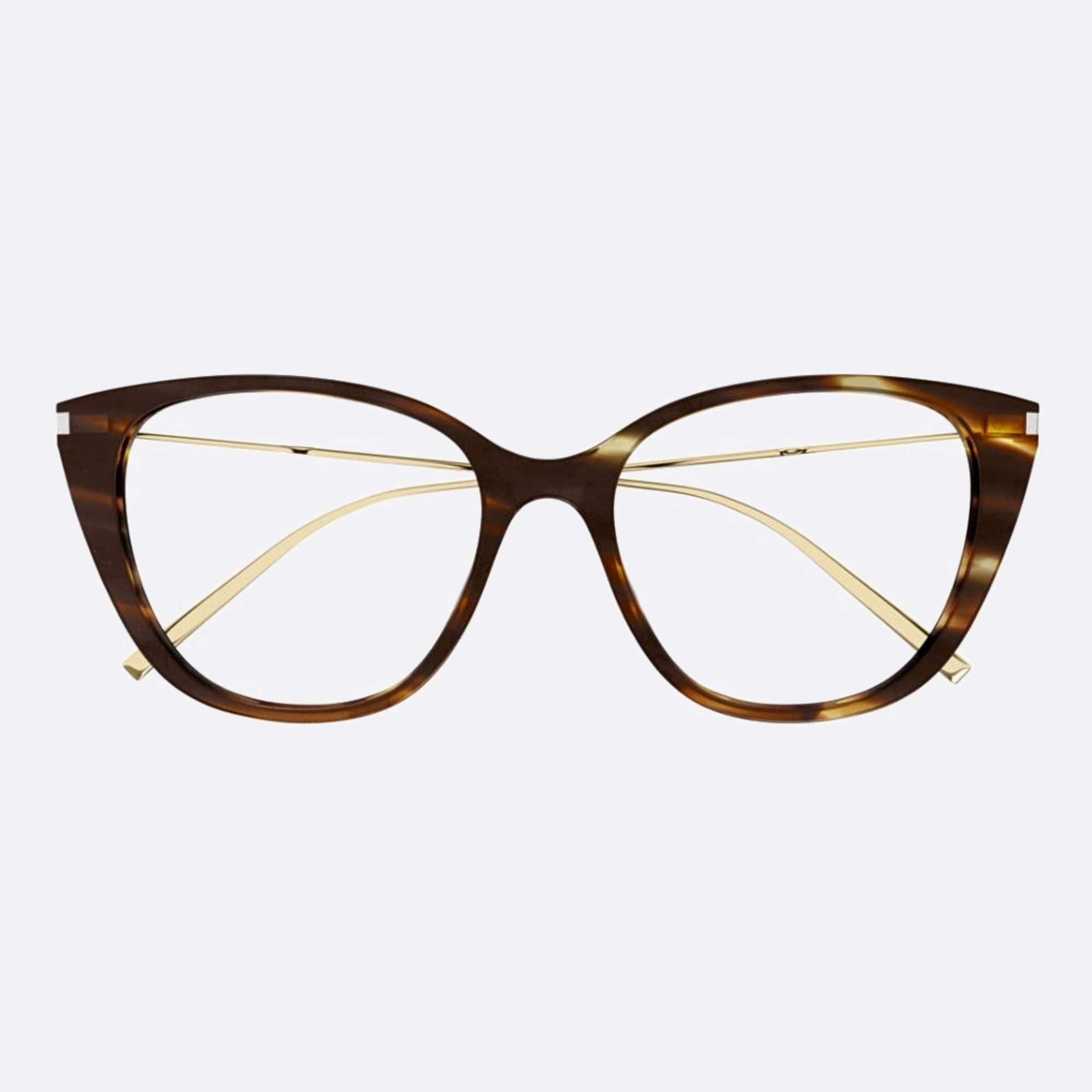 Saint 54mm Laurent Havana Cat Eye Woman Eyeglasses - Main View