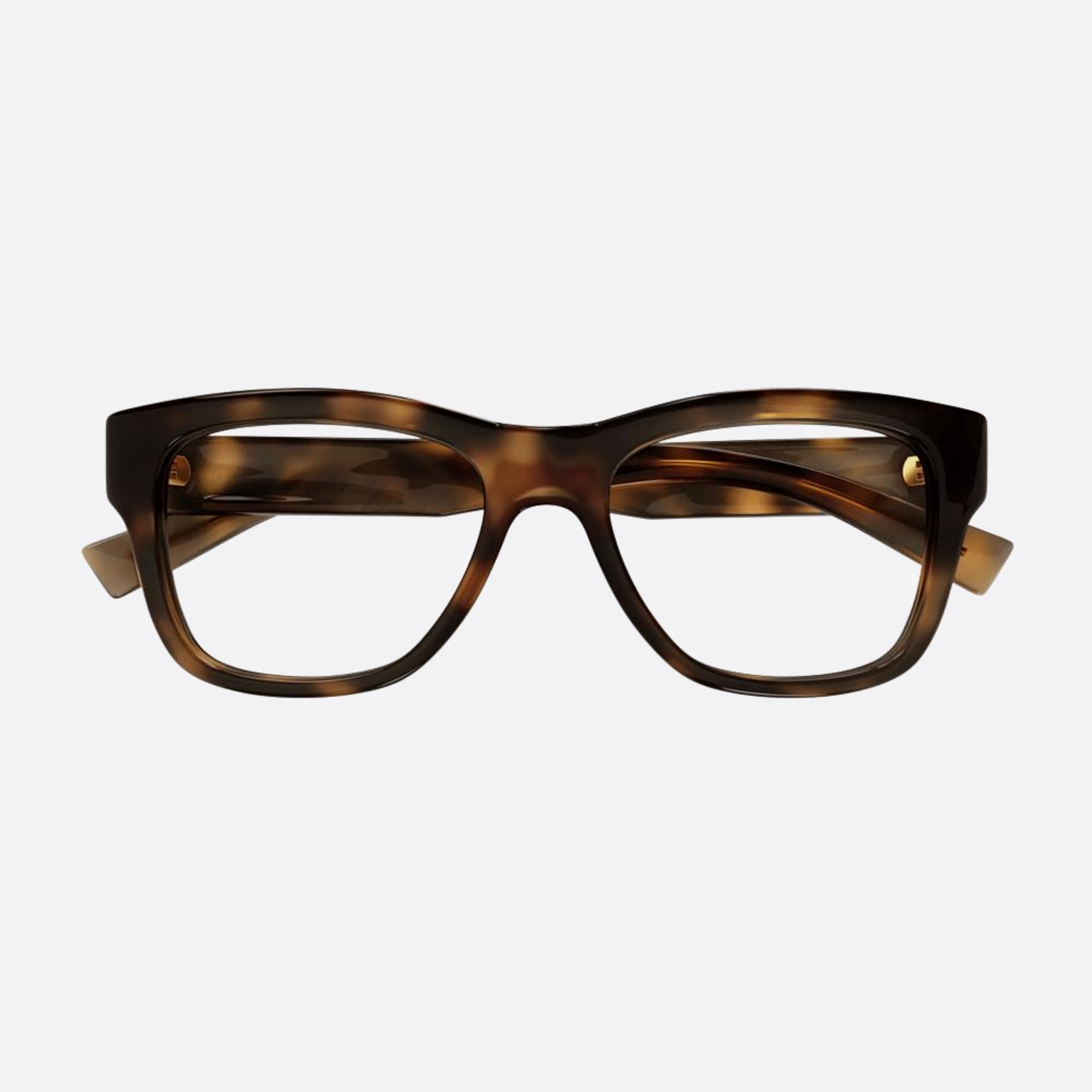 Saint 54mm Laurent Havana Squared Unisex Eyeglasses - Main View