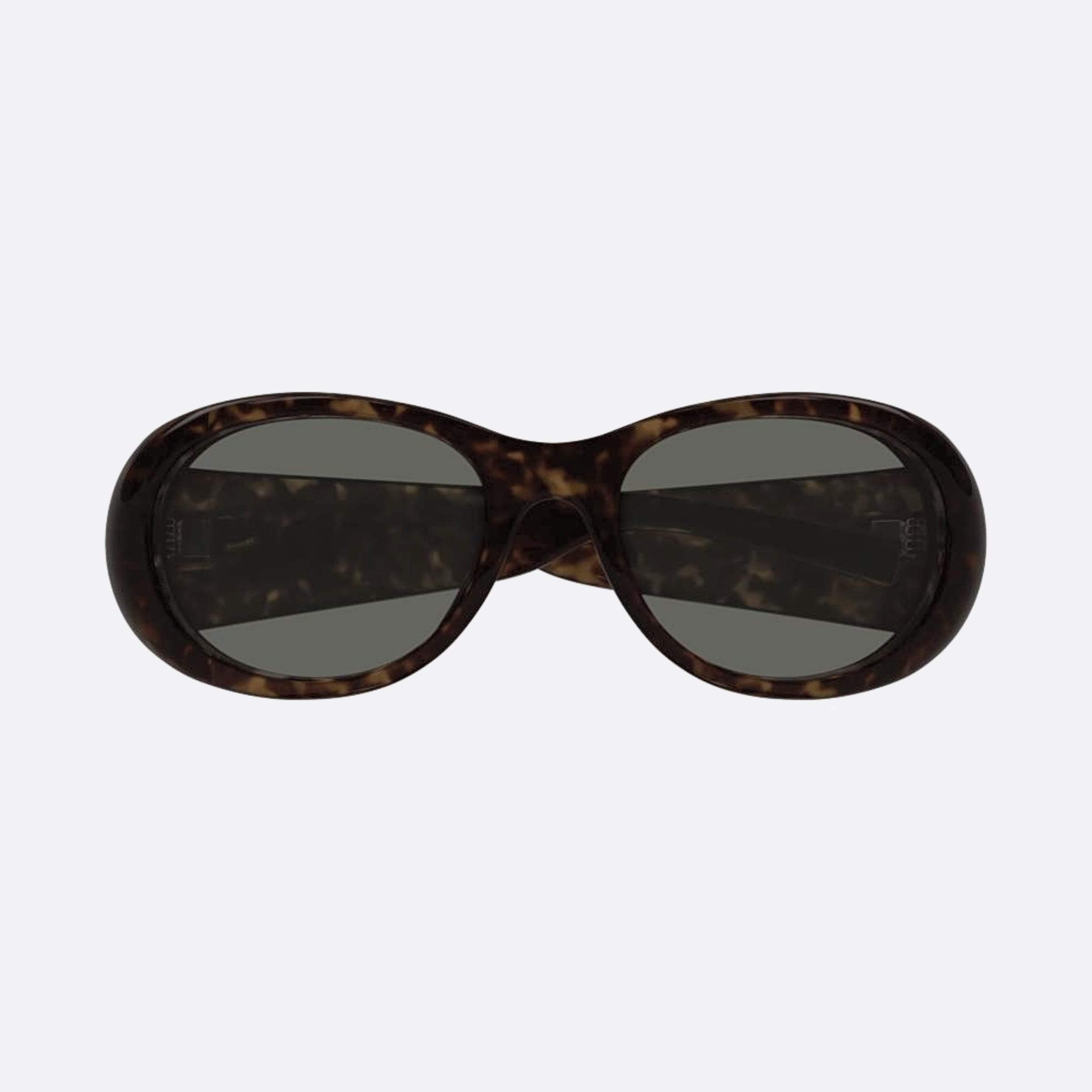 Saint 52mm Laurent Havana Oval Woman Sunglasses - Main View