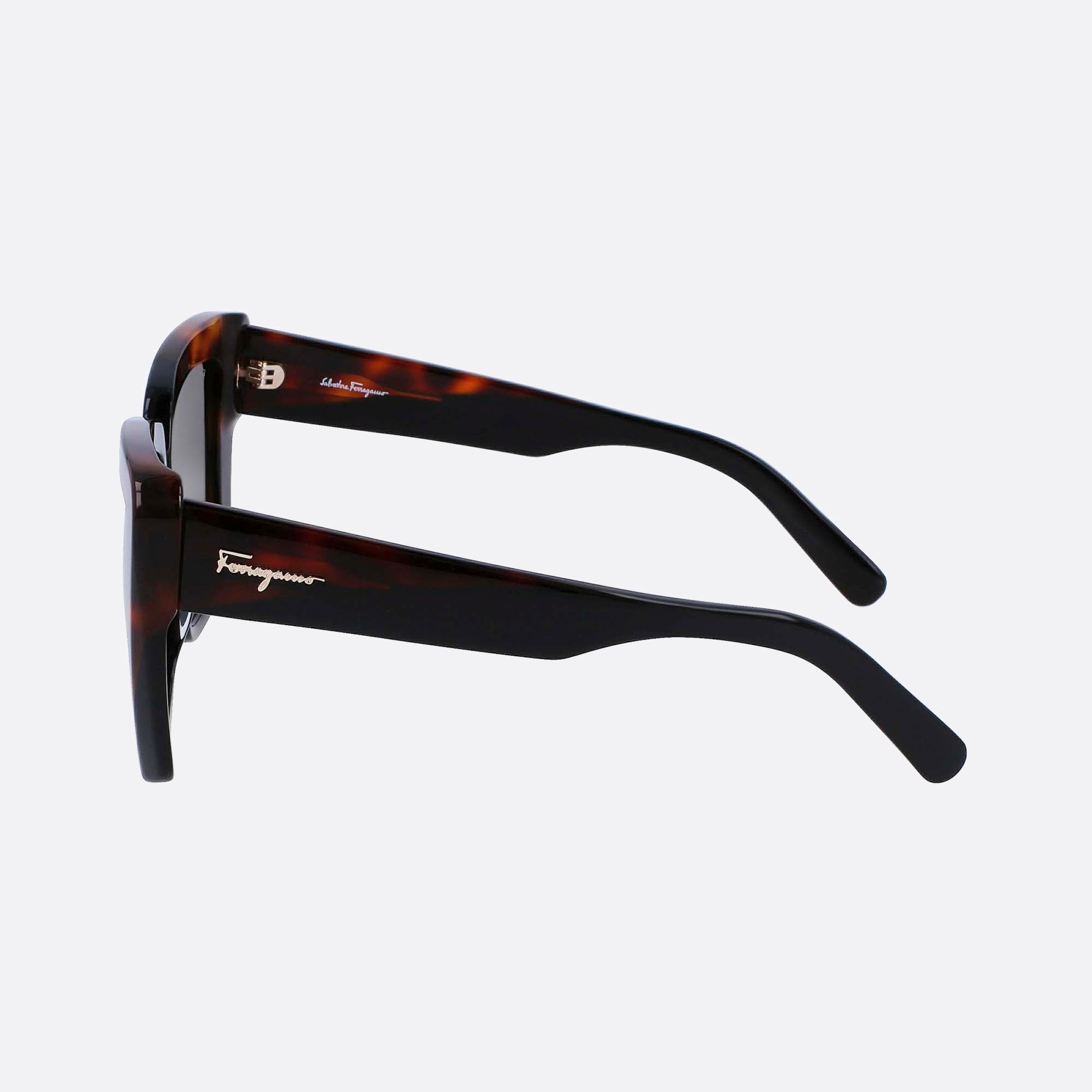 Salvatore 55mm Ferragamo Havana Geometric Women Sunglasses - Detail View