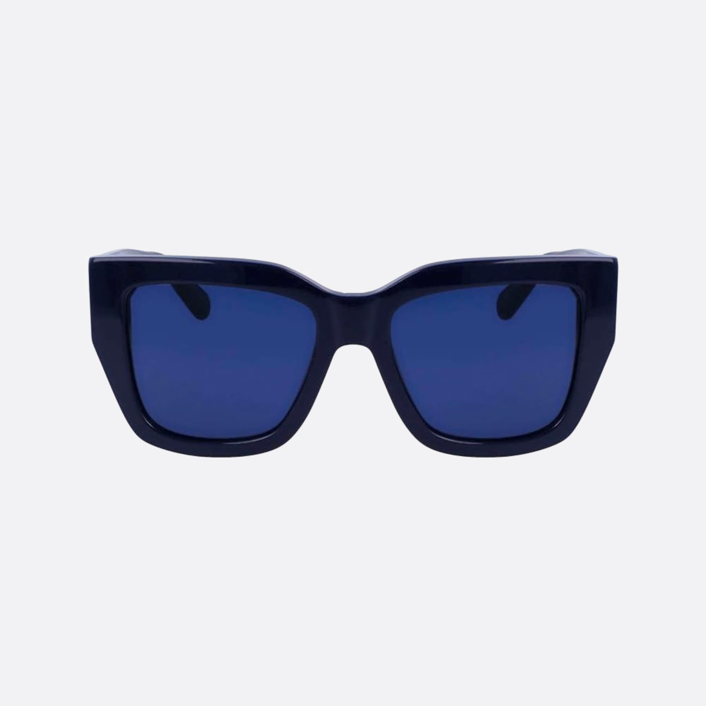 Salvatore 55mm Ferragamo Blue Butterfly Women Sunglasses - Main View