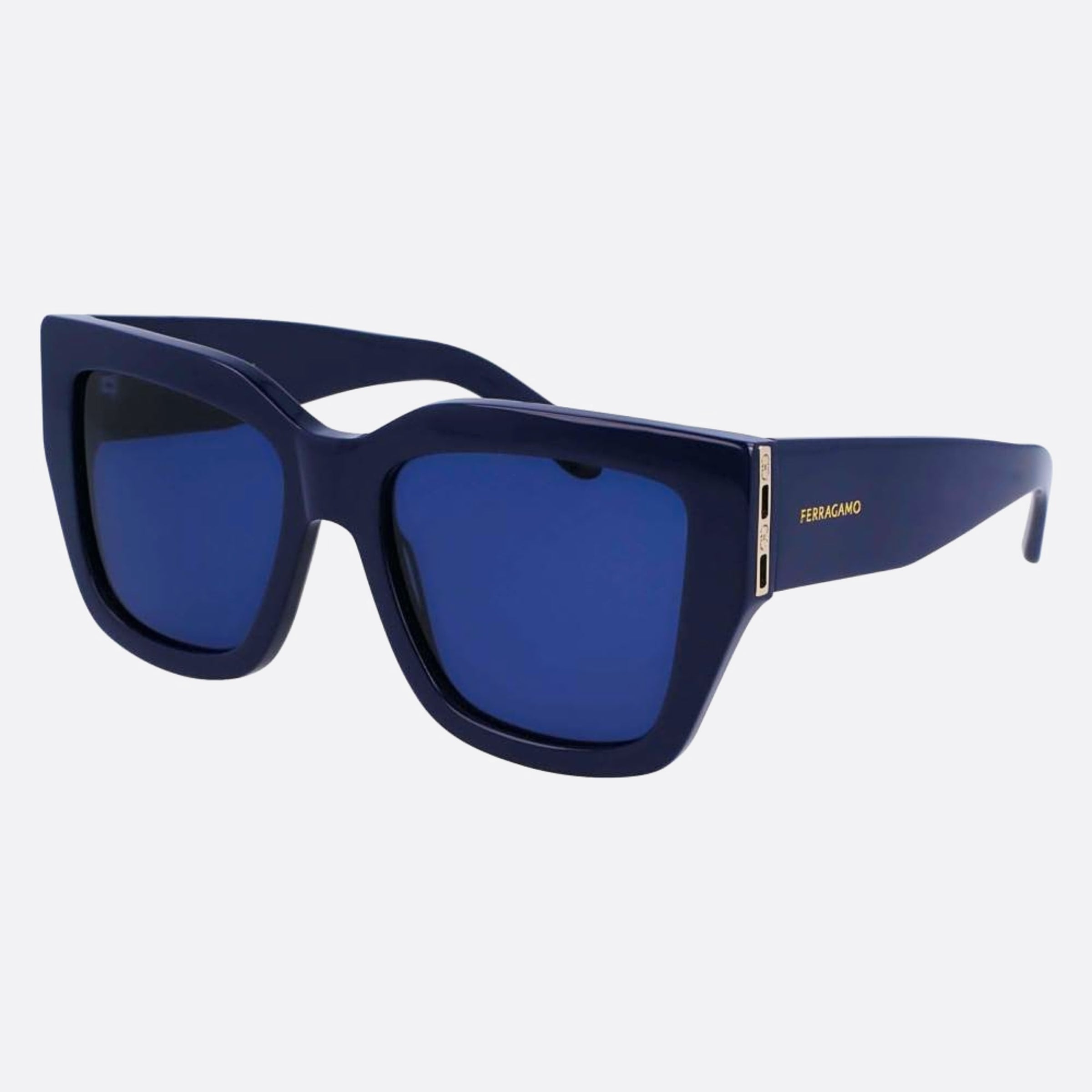 Salvatore 55mm Ferragamo Blue Butterfly Women Sunglasses - Side View