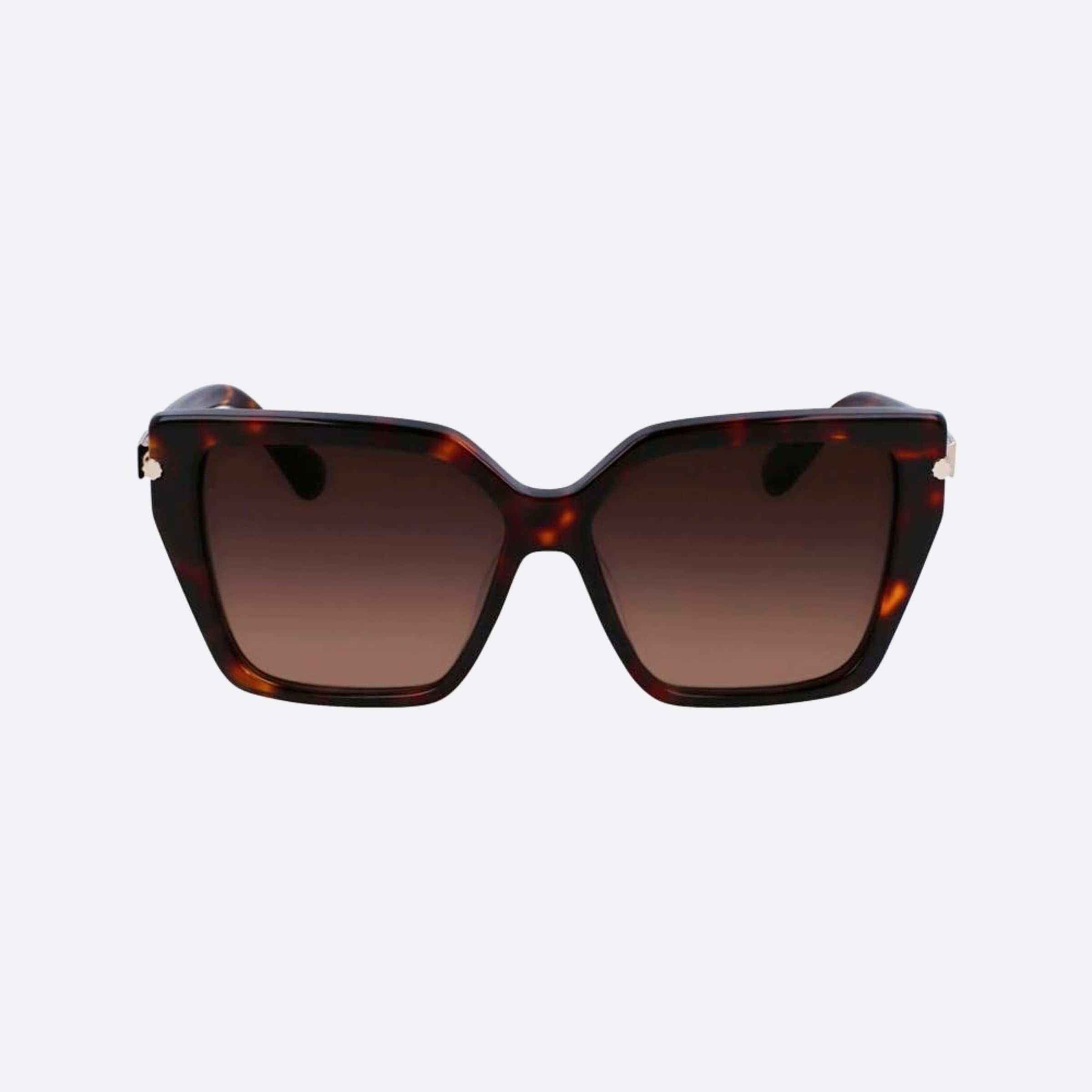 Salvatore 57mm Ferragamo Brown Butterfly Women Sunglasses - Main View