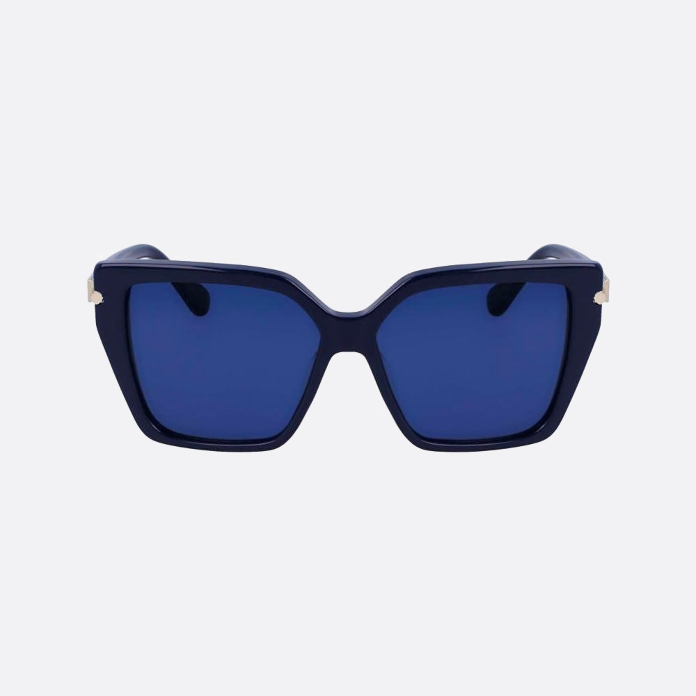 Salvatore 57mm Ferragamo Blue Butterfly Women Sunglasses - Main View