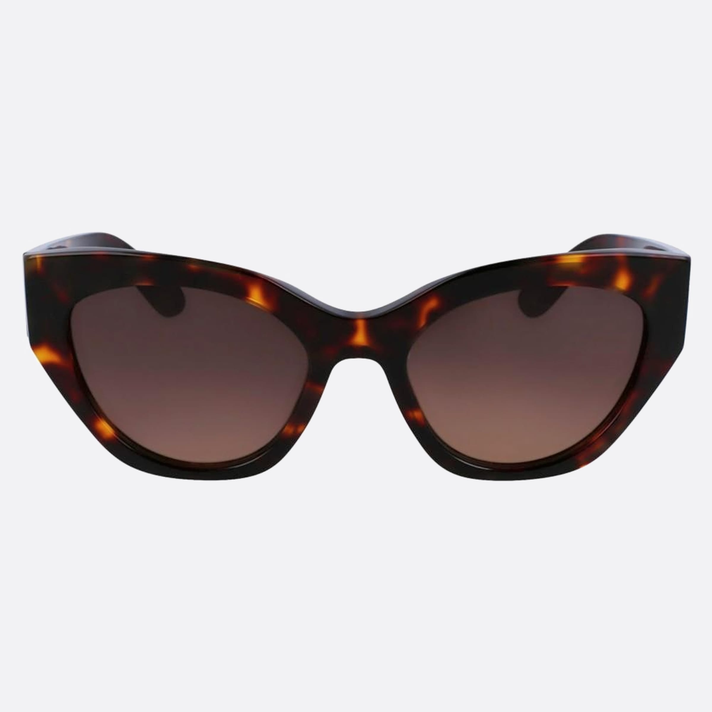 Salvatore 55mm Ferragamo Brown Geometric Women Sunglasses - Main View