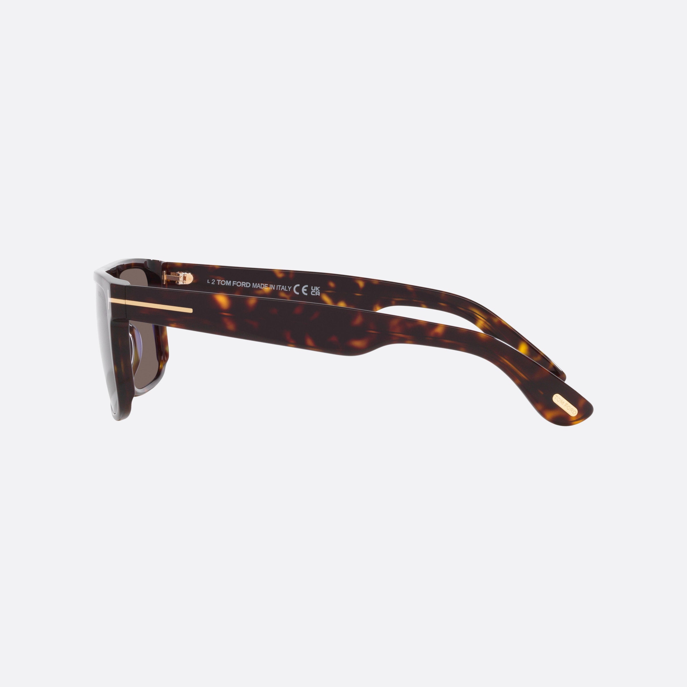 Tom 58mm Ford Ft0999 52a Brown Rectangle Men Sunglasses - Side View