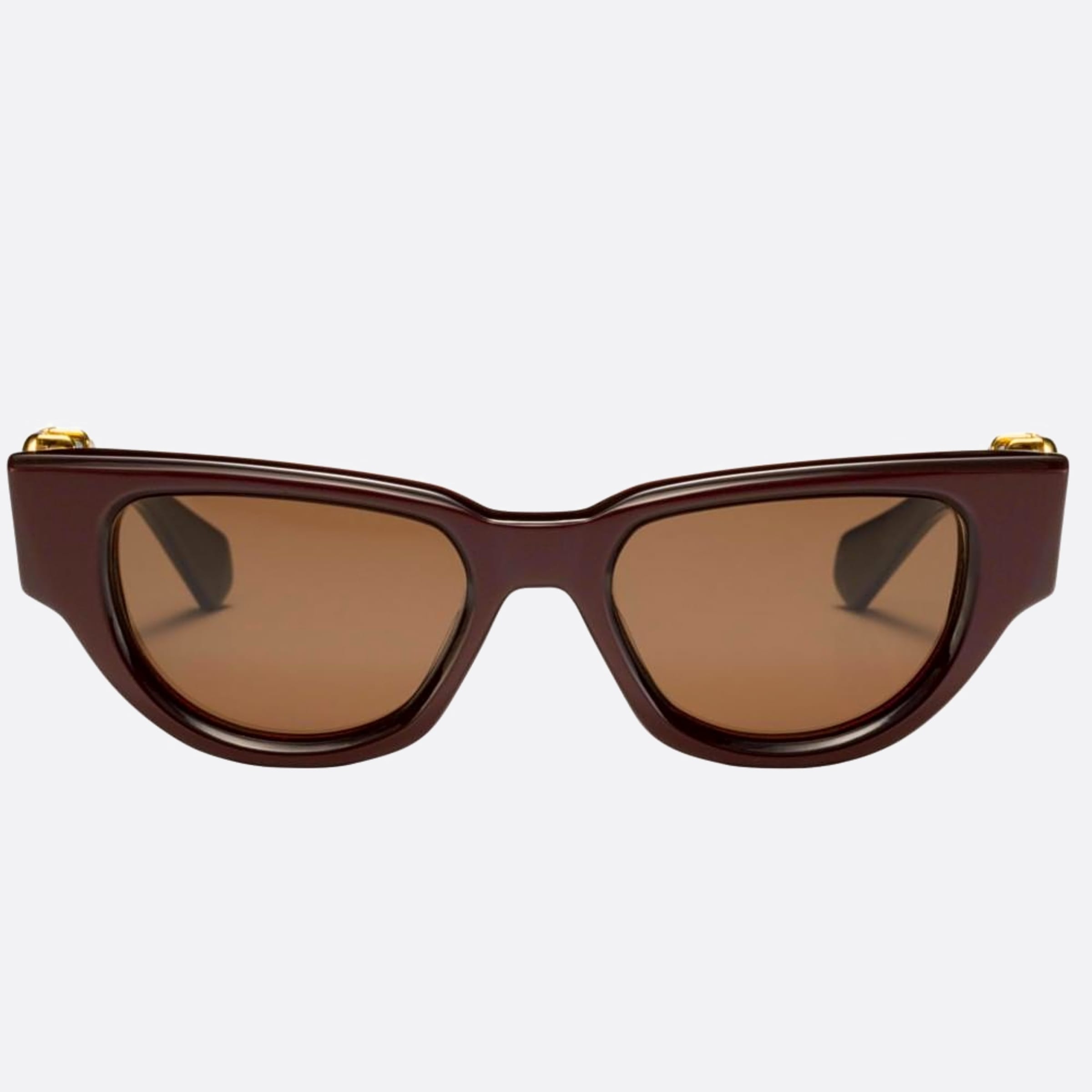 Valentino 50mm Due Bdx Gld Violet Cat Eye Women Sunglasses - Main View